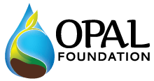 Opal Foundation